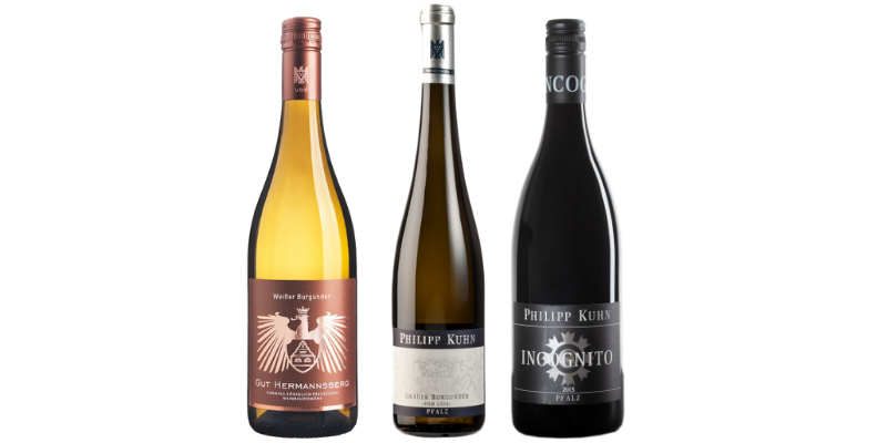 Design ohne Titel (4).png