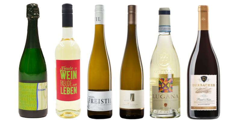 Design ohne Titel (10).png