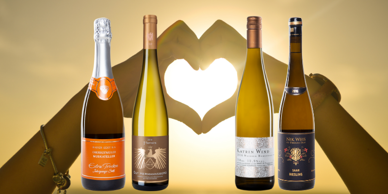 Design ohne Titel(7).png